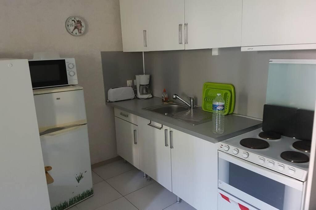 Appt 2 Etoiles Agreable Et Calme Vue Sur Montagnes Διαμέρισμα Amélie-les-Bains-Palalda Εξωτερικό φωτογραφία